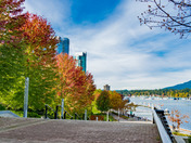 Vancouver - coal harbour fall