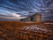 Spring SIlos