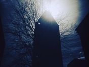 let me see the light