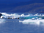 Sedna Epic Expedition