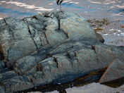 Settling for the night