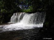 Lynn River Falls