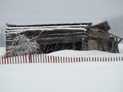 Snowy Fence