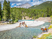 Horseback Riding along the Bow River
