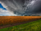 Slices of Saskatchewan