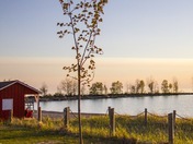 Sunsets Lake Huron are my favourite 