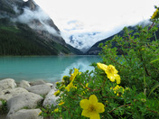 Summer Colors at Lake Louise