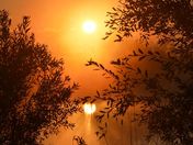 foggy morning sunrise