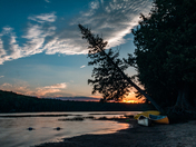 Evening at Algonquin