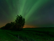 Beneath the dancing lights