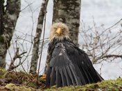 what are you looking at?