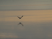 Early Morning quietness