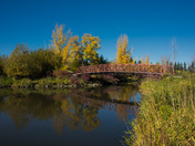 Autumn Bridge