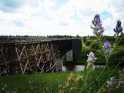 The Trestle Bridge 