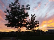 Scenic Beauty- Sky shades