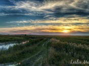 Sunset at the Marsh