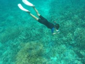 Aleks snorkeling in the great barrier reef