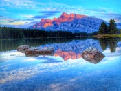 I love taking pictures of nature 