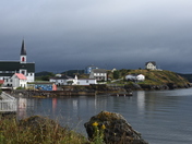 Found Beauty in the Rain