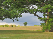 The Beauty of Living Next to a Farm