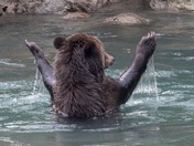 Praise the Lord! We are Gathered here today...