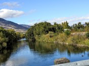 Fly Fishing & Rainbows