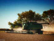 Farming on Thanksgiving Monday