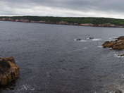 Views from Cape Breton
