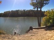 Nice Day For A Rope Swing