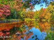 Reflections in Color