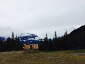 The two lonely chairs