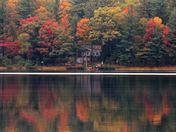 In The Midst of Autumn