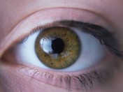 Beauty is in the Eye of the Beholder