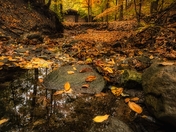 Autumn colors at its peak