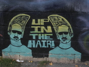 Having a good hair day