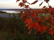 Maitland in the Fall