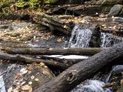 Autumn Falls