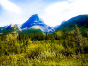 Jasper National Park 