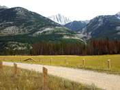 Jasper National Park 