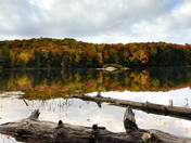 Reflections on the Water 
