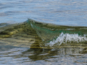 Lake Wave 