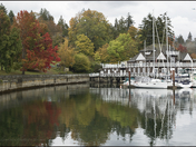Stanley Parks Fall Color's