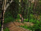 Staircase to Adventure