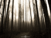 Wherever adventure may take us