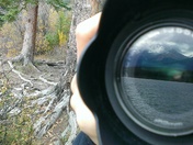 Reflection of Beauty