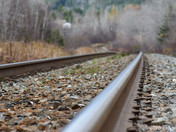Railway in the woods