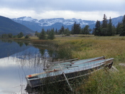 15 minutes east of Jasper
