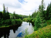 The Spirit Of The Bush