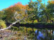 East Coast Landscapes