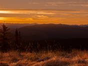 Sunrise on The Heather Trail 